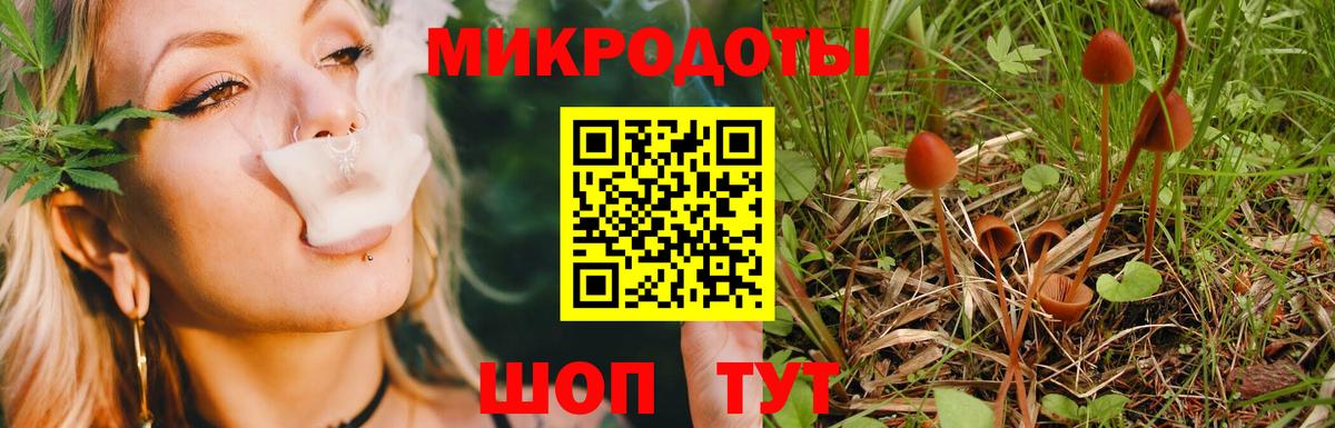 Галлюциногенные грибы Psilocybe  Вход с VPN  Заринск  Псилоцибиновые грибы Psilocybine cubensis 