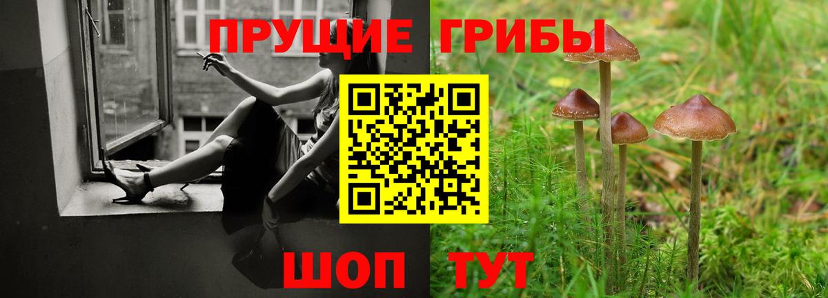 Псилоцибиновые грибы Magic Shrooms Заринск